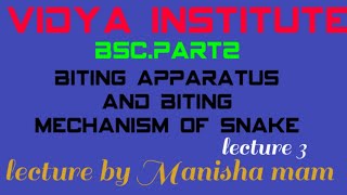 SnakePoisonApparatus Biting Mechanism of Poisonous Snakes By Manisha mam [upl. by Ky]