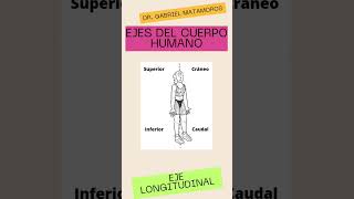 Ejes del cuerpo humano Eje longitudinal medicine [upl. by Groh]