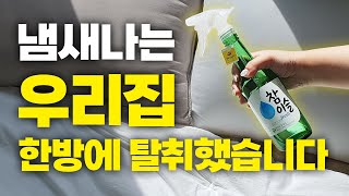 소주이것만 있으면 천연 탈취제가 된다  집안 옷장 냄새 제거 꿀팁  악취 제거 방법 [upl. by Htiduj]