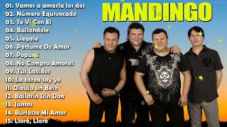 Grupo Mandingo 💥 30 Éxitos Romanticas❤️ Exitos Sus Mejores Canciones De Grupo Mandingo 💓 [upl. by Sirrad]