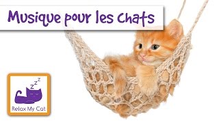 Musique pour Chats et Chatons  relaxation musique spécifiquement pour les chats [upl. by Erbua]