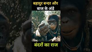 बहादुर बंदर और बाज़ के अंडे shorts viral [upl. by Sidhu]