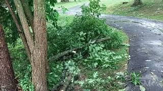 06172024 Cranberry Township PA  Severe Thunderstorm Wind Damage [upl. by Telracs632]