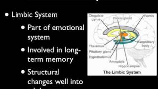 Adolescent Brain Development  Part 1 [upl. by Manley]