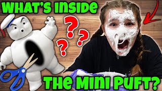 Whats Inside The Mini Puft From Ghost Busters He Ate The ELf On The Shelf  Cutting Open Villains [upl. by Jensen]