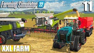 FIRST BIG SOYBEANS HARVEST  150000l  The XXL FARM  Timelapse 11  Farming Simulator 22 [upl. by Mcmaster]