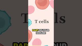 Miracle Cancer Treatment 🌟  CAR T Cell Therapy Explained cartcelltherapy cancerfax cartcell [upl. by Erodasi]