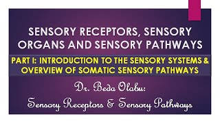 INTRODUCTION TO THE SENSORY RECEPTORS amp OVERVIEW OF SOMATIC SENSORY PATHWAYS [upl. by Lammaj]