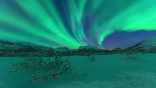 UNDER THE NORTHERN LIGHTS  AURORA BOREALIS REALTIME TROMSØ NORWAY [upl. by Tniassuot393]