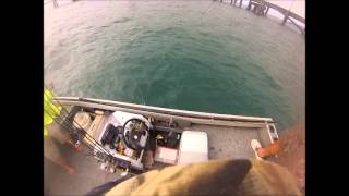 How we land Queenies Crackajack Sportfishing Style Hinchinbrook [upl. by Laetitia]