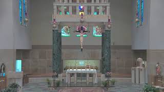 11am Holy Mass •Thirtysecond Sunday in Ordinary Time [upl. by Cleon]