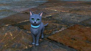 FINAL FANTASY XIV  Bluecoat Cat Minion [upl. by Raman]