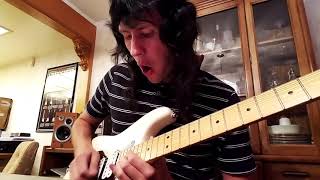 The Beatles  Eleanor Rigby Guitar cover by Rocky Kramer [upl. by Yslehc]