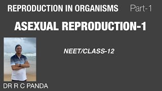 REPRODUCTION IN ORGANISMS PART1  INTRODUCTION AND ASEXUAL REPRODUCTION 1 [upl. by Llabmik]