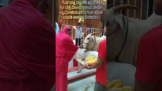 Govathsa dwadashi day sri Swamiji celebrated gomaatha pooja [upl. by Amleht]