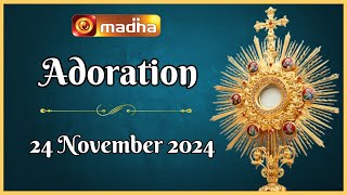 🔴 LIVE 24 November 2024 Adoration 1100 AM  Madha TV [upl. by Nairbo]