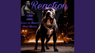 Reaction feat DMX [upl. by Lienad]