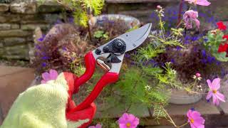 Left Handed Secateurs [upl. by Retha]