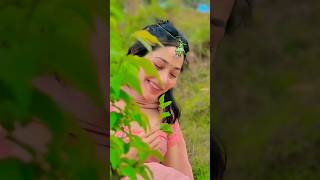 panchi bole hai kya 😀 song music love viral shortsvideo [upl. by Idihc]