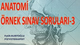 Anatomi Öğreten Örnek Sınav Soruları3  ÖnlisansLisans [upl. by Spiegel844]