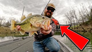 Spring Bass Fishing Is Awesome Catching Them On Everything In The Boat [upl. by Atterol]