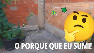 TIVE QUE PEGAR UMA MINI PIPA EMPRESTADA JÁ QUE ESTOU VOLTANDO AGORA minipipa pipas [upl. by Jeromy]