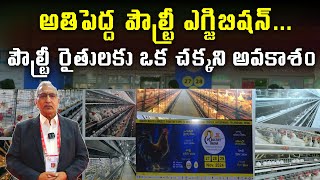 హైదరాబాద్ లో అతిపెద్ద పౌల్ట్రీ ఎగ్జిబిషన్ Poultry Exhibition HiTech CityPoultry Farm Raithe Raju [upl. by Ailahtan196]