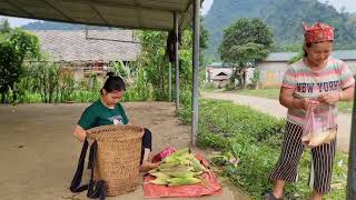 harvesting corn luffa gourd and other fruits in the forest to sell  rural life [upl. by Locin280]