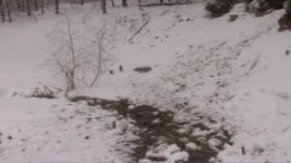 Girl impaled while sledding in Jarrettsville [upl. by Aika724]