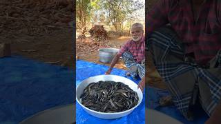 River Fish Fry  Snakehead Fish Cleaning and cooking  Food fun village shorts [upl. by Marl]