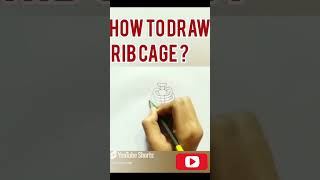 Rib Cage Drawing Step by Step ribcage drawing anatomydrawing [upl. by Leval]