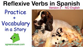 Learn Reflexive Verbs in Spanish  Vocabulary  Practice in a Story [upl. by Divad617]