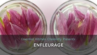 How To Create Your Own Enfleurage [upl. by Zap]