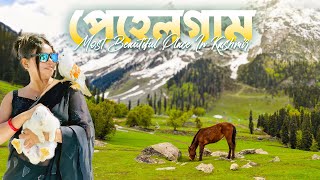 Pahalgam Kashmir  Betaab Valley  Chandanwadi  Aru valley  Most Beautiful Place in India [upl. by Kaliope]