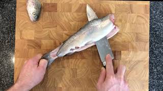 CLASSIC Series 8inch German steel Chef knife VS Fish [upl. by Trip]