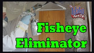 Fisheye Eliminator Hacks What Is Paint Fisheye [upl. by Nino]