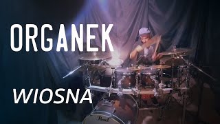 Organek  Wiosna  Drum Cover [upl. by Lattimer]