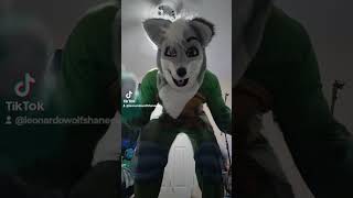 Zacharyleonardowolf jelly roll heave dance myfurrysuit myfurrysuitmasoct [upl. by Rettke612]