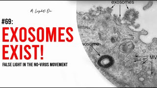 A Light On 69 Exosomes Exist False Light in the NoVirus Movement with Patrick Black [upl. by Zohar]