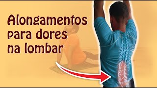 Fisioterapia Exercícios para Coluna Lombar [upl. by Nizam]