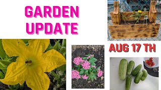 Garden Update for August 17th [upl. by Aerb]