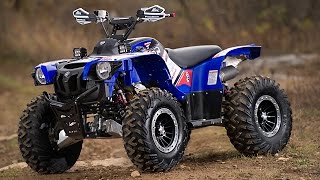 2014 Yamaha Grizzly Customization Project  Part 1 [upl. by Ellemrac]