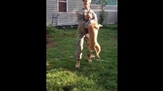 US Soldier Surprises His Dog [upl. by Ahtar258]