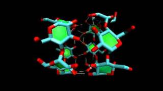 αcyclodextrin dimer molecular dynamics simulation [upl. by Gorrian]