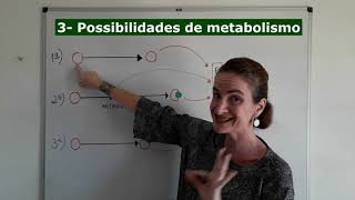 Farmacocinética 6 Metabolismo ou Biotransformação dos fármacos [upl. by Ylagam]