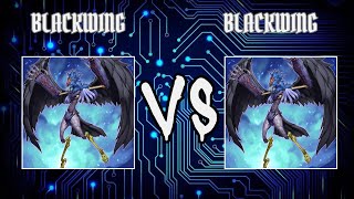 Batel Blackwing vs JonnythegiraffeBlackwing  Yugioh Edison Format  Dueling Book [upl. by Jerold103]