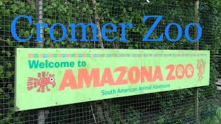 Cromer Zoo AMAZONA ZOO vlog 2024 [upl. by Clere750]