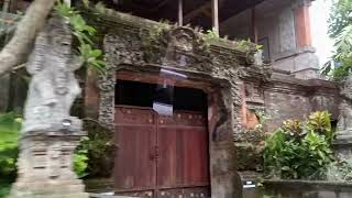 Scenes at Bali Indonesias Ubud City Center  Vlog Review No 266 [upl. by Annauqal]