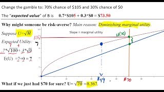 Risk Aversion and Expected Utility Basics [upl. by Nerradal]