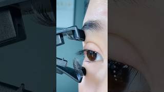 Magnetic eyelash clip easy to use funny makeup trending makeupartist makeuptutorial [upl. by Klepac]